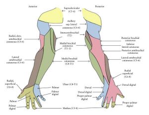 articulo-ena-instema-4