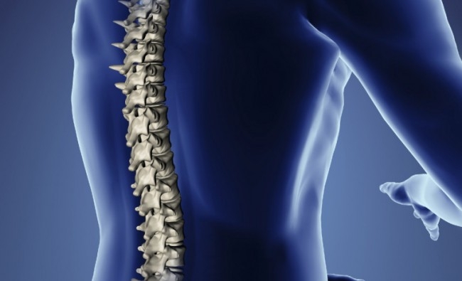 Técnicas de Manipulación Vertebral