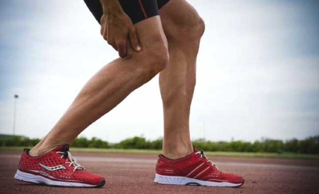 Recuperación de las Tendinopatías en el Deportista. Clasificación, prevención y tratamiento.