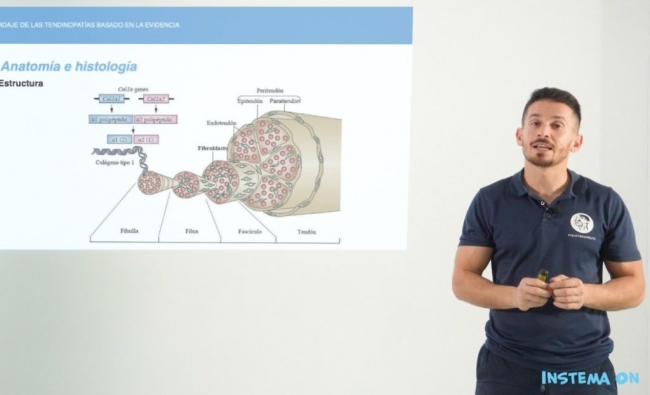 CURSO ONLINE. Tendinopatías de miembro inferior (basado en la evidencia)