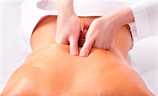 Anatomía Palpatoria en fisioterapia