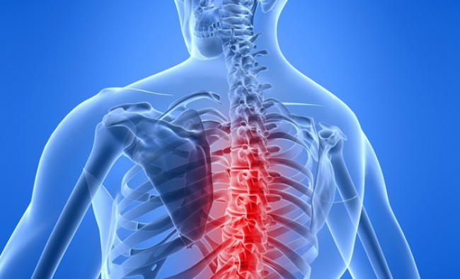 Alteraciones de la Columna Vertebral: diagnóstico y tratamiento mediante técnicas de tejidos blandos