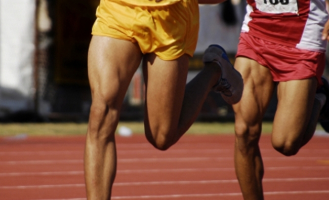 Recuperación de las Tendinopatías en el Deportista. Clasificación, prevención y tratamiento.