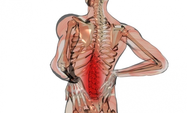 CURSO ONLINE. Parte A : La Columna LumbarMétodo McKenzie de Diagnóstico y Terapia Mecánica (MDT).